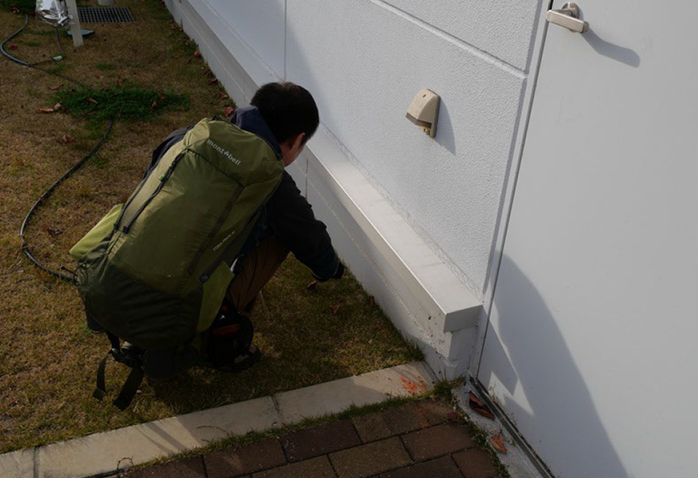 アルゼンチンアリの防除に向けて薬剤を散布