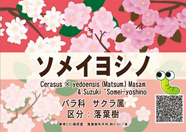 2023年度の最新デザインでは、落葉樹、常緑樹（花）、常緑樹（小花）の3区分で色分けし、樹種をイメージしやすくした