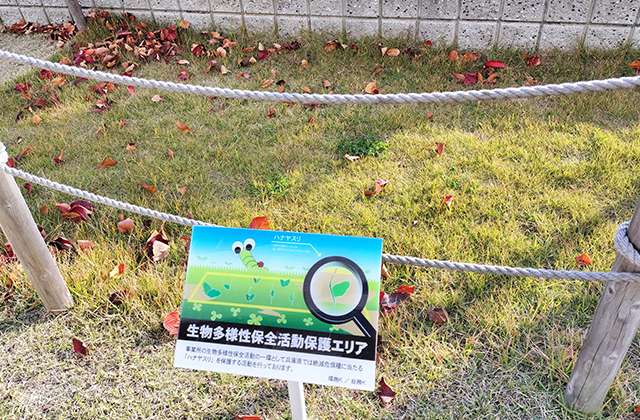 ハマハナヤスリの保護エリアにも看板を設置