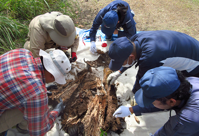 エコスタック生物調査