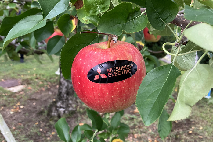 シールを貼った果実。はがすと企業ロゴがあらわれる