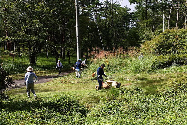 草刈りなどのメンテナンスを実施