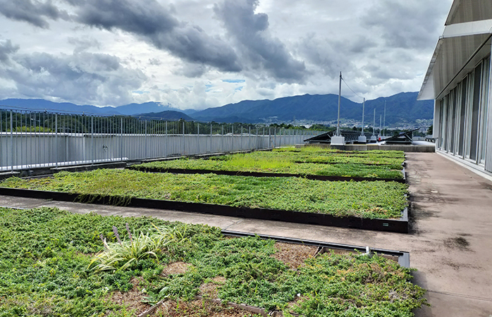プランターの一部は屋上緑化スペースにも置いている