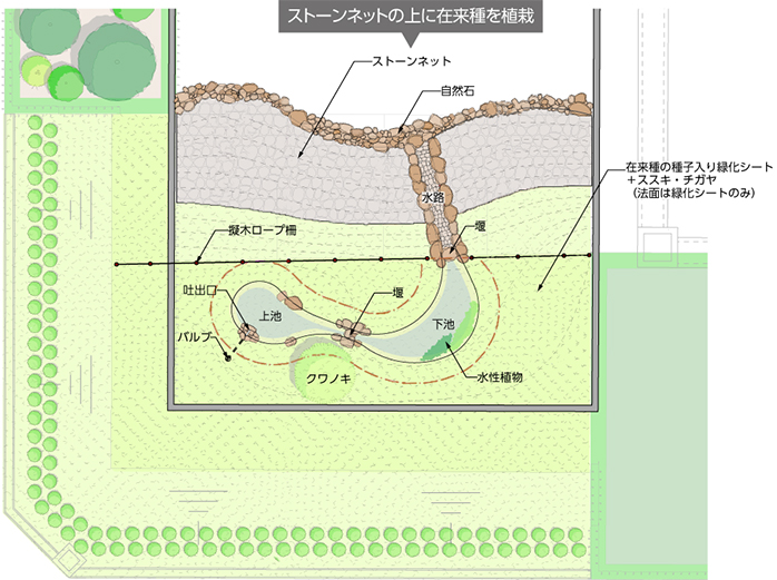周辺環境との調和と生物多様性の保全を目指し、ビオトープを造成