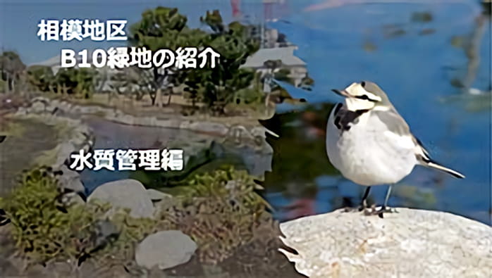 従業員向けの啓発資料なども作成し、積極的に情報を発信