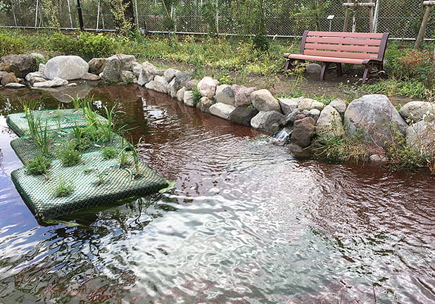 ビオトープには浮島を設置し、植物の繁茂を促す。トンボなどが利用しやすいよう、水際の雑草も極力刈らない