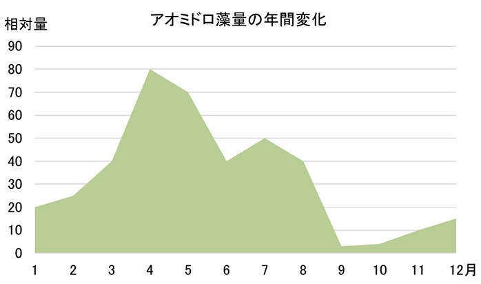 アオミドロ藻量の年間変化