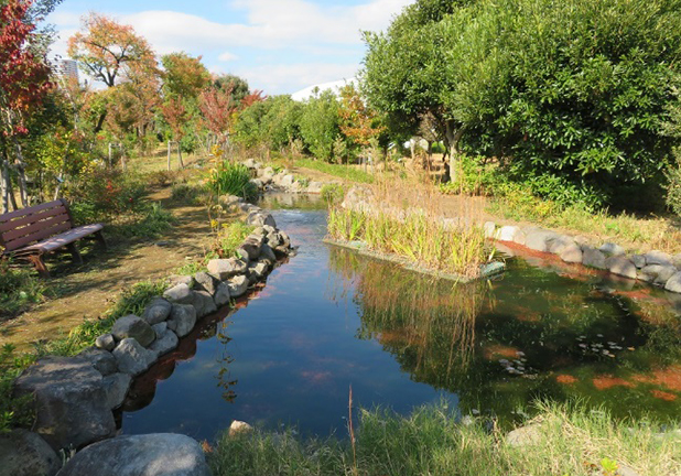 対処実施後、濁りは収まった