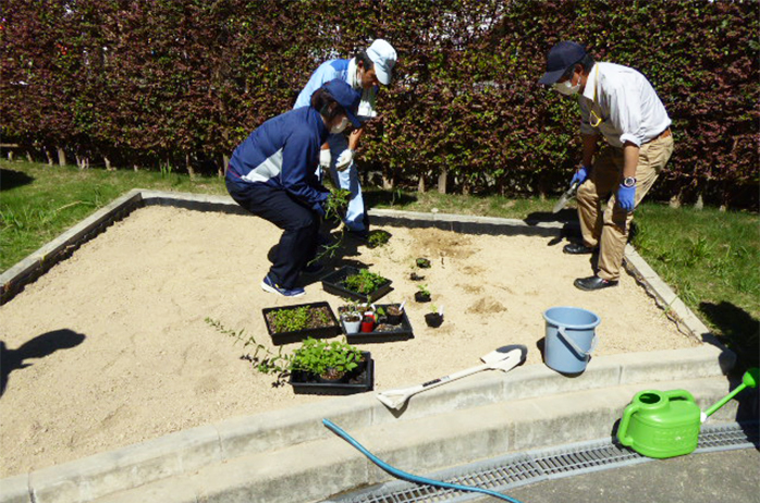 譲り受けた苗を移植。種類は、オミナエシ、カワラナデシコ、スズサイコ、キキョウ、ウツボグサ、ヒヨドリバナの6種