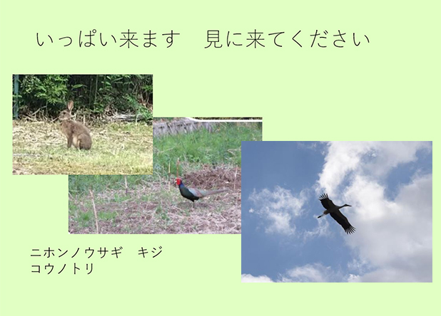 三田周辺の自然について講話