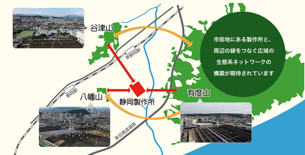 よりみち緑地がつなぐ生態系ネットワーク