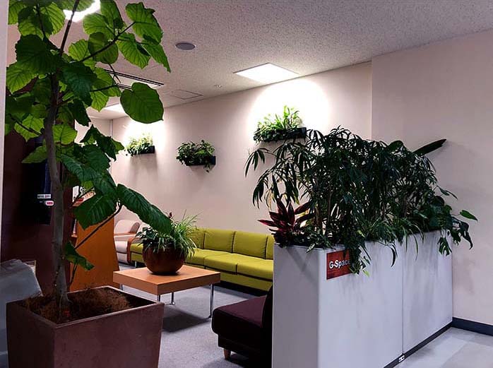 関西研修センター利用者の憩いの場として整備したG-Space。リラックス効果を最大限に得られるよう、緑視率から家具・インテリアの配置まで綿密に設計した