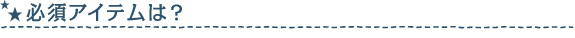 必須アイテムは？