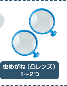 虫めがね(凸レンズ)1～2つ