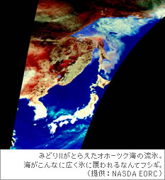 みどりIIがとらえたオホーツク海の流氷。海がこんなに広く氷に覆われるなんてフシギ。（提供：NASDA EORC）