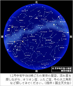 12月中旬午後8時ごろの東京の星空。流れ星を探しながら、オリオン座、ふたご座、冬の大三角形など探してみてください。（提供：国立天文台）