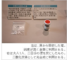 左は、尿から回収した塩。純度が高く食事に利用される。
右は大人1人、二日分の便を炭にしたもの。二酸化炭素として光合成に利用される。