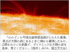 「ひので」の可視光磁場望遠鏡がとらえた画像。黒点が太陽の縁にあるときに横から観測したもの。公開されている動画で、ダイナミックな太陽の姿を是非、見てください。（提供：JAXA、国立天文台）