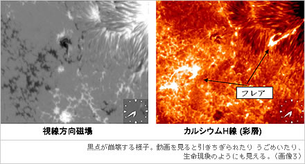黒点が崩壊する様子。動画を見ると引きちぎられたりうごめいたり、生命現象のようにも見える。（画像3）