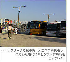 バナナクリークの見学席。大型バスが到着し、奥のひな壇に続々とゲストが場所をとっていく。