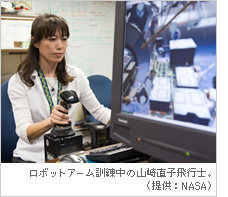 ���{�b�g�A�[���P�����̎R�蒼�q��s�m�B�i�񋟁FNASA�j