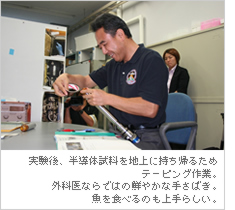 ������A�����̎�����n��Ɏ����A�邽�߃e�[�s���O��ƁB�O�Ȉ�Ȃ�ł͂̑N�₩�Ȏ肳�΂��B����H�ׂ�̂����炵���B