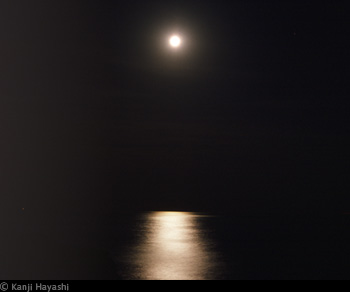 三菱電機サイエンスサイト DSPACE