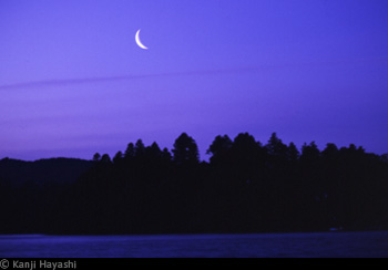 �閾���̌��̎ʐ^