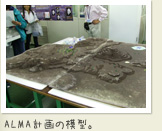 ALMA計画の模型。