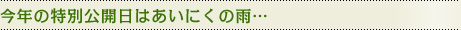 今年の特別公開日はあいにくの雨…