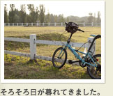 ���낻��������Ă��܂����B