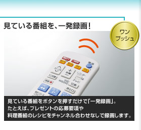 ���Ă���ԑg���A�ꔭ�^��I