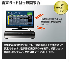 �����K�C�h�t���^��\��