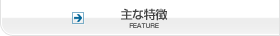 主な特徴