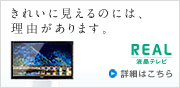 REALter {̔Â̂܂܂̔yނȂ̂tIтB