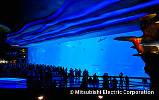 「珠海長隆海洋王国」の巨大水槽。世界一大きい水槽として、ギネスに登録されています。