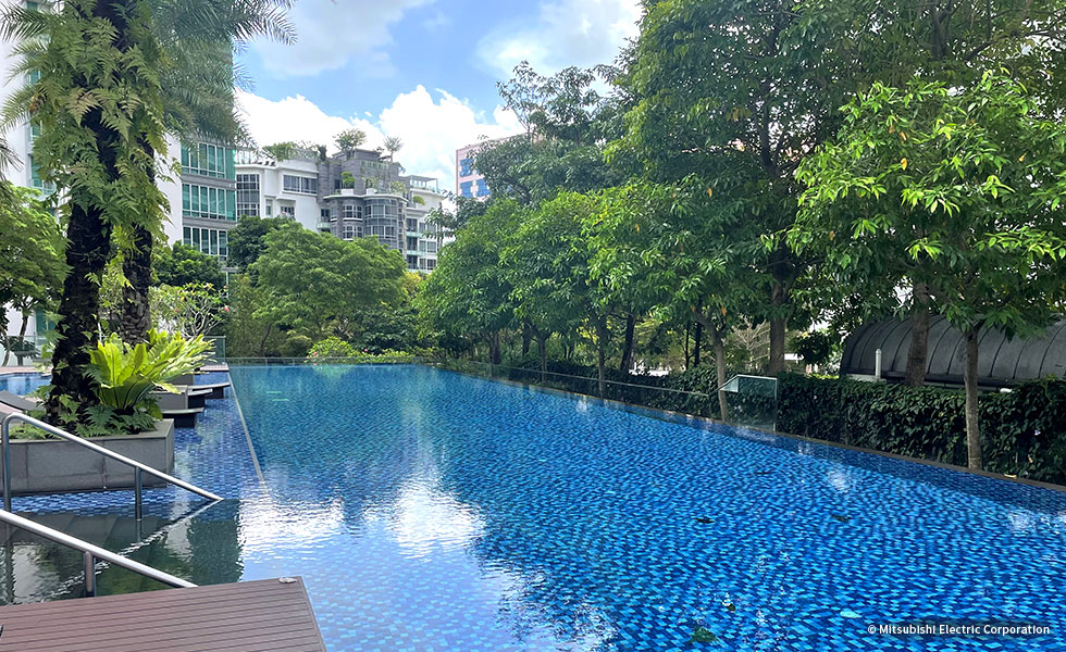 私が住むコンドミニアムのプール