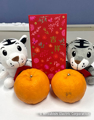 貰った虎のぬいぐるみと獅子へのお供え物