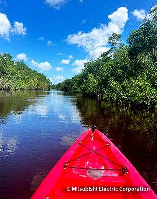 フロリダ州にある国立公園Everglades National Parkで、カヤックを。