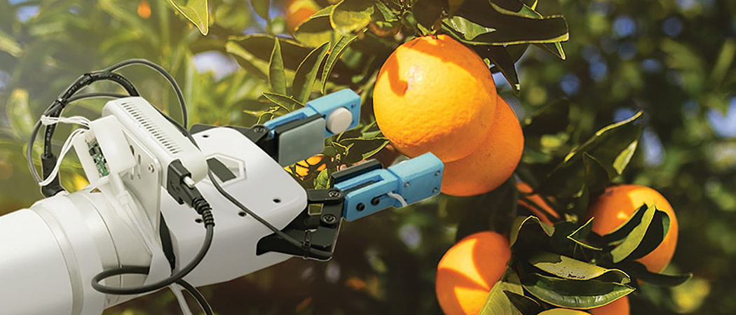 遠隔操作で、果実をつぶすことなく、人と同じ適度な力でもぎとるロボット。現実になる日が近づいています。