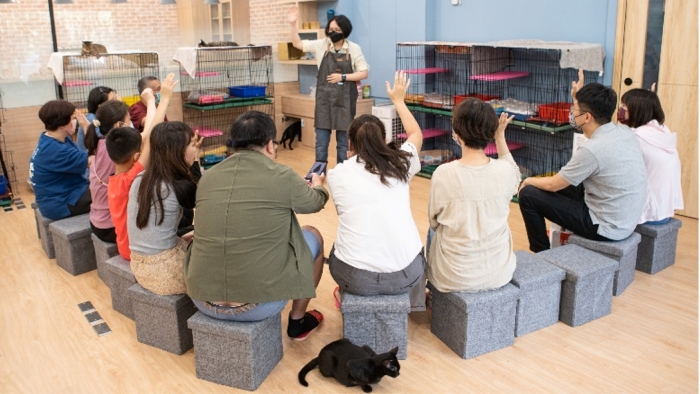 猫の飼育に関する講座