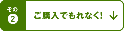 その2 ご購入でもれなく！