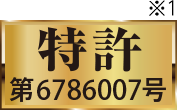 特許 第6786007号