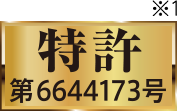 特許 第6644173号