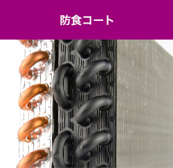 防食コート