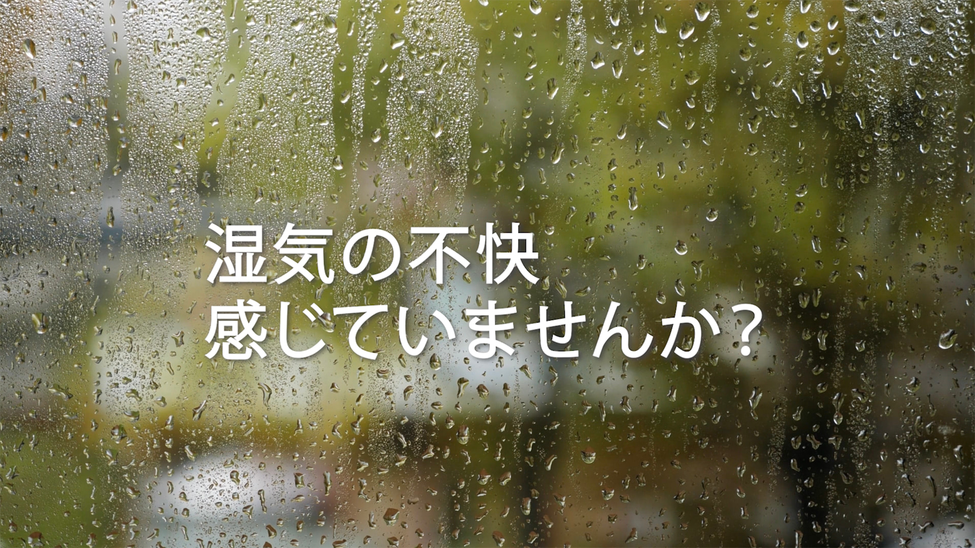 除湿機 サラリpro「ハイパワー除湿で年中・家中快適！」【三菱電機公式】