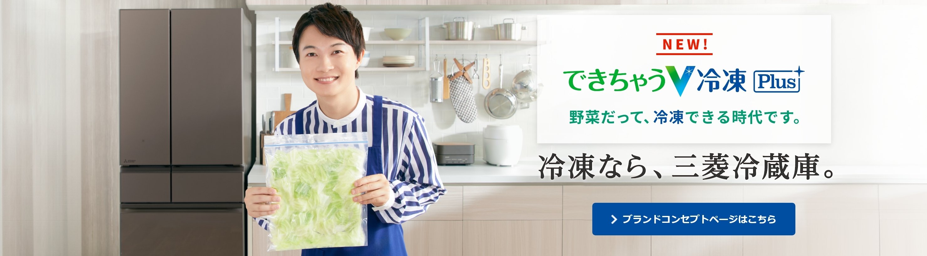 NEW! できちゃうV冷凍Plus 野菜だって、冷凍できる時代です。冷凍なら、三菱冷蔵庫。 ブランドコンセプトページはこちら