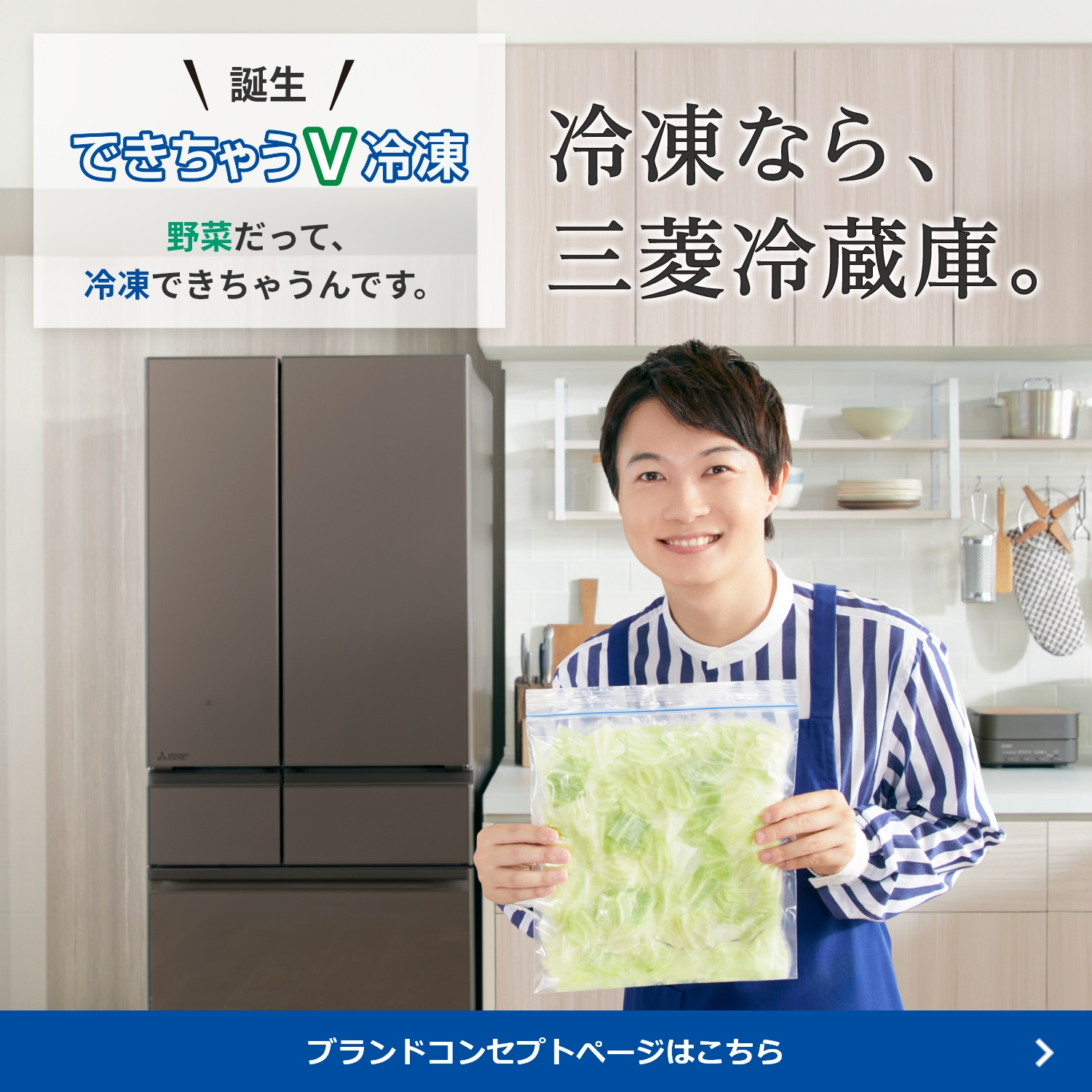 三菱電機 冷蔵庫 三菱電機 冷蔵庫