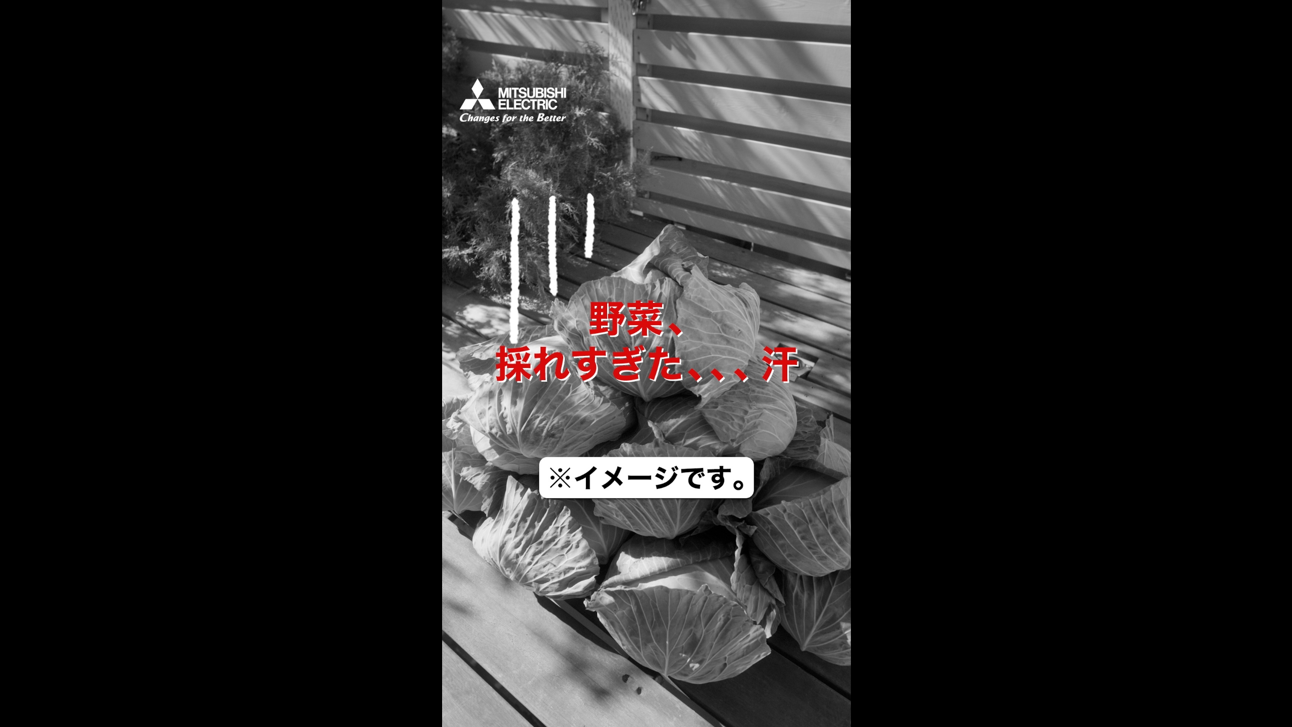 三菱冷蔵庫「家庭菜園大豊作」篇【三菱電機公式】