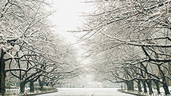 冬のイメージ写真